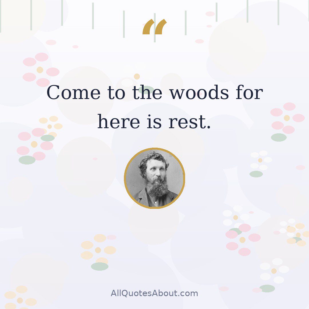 Come to the woods for here is rest. quote card