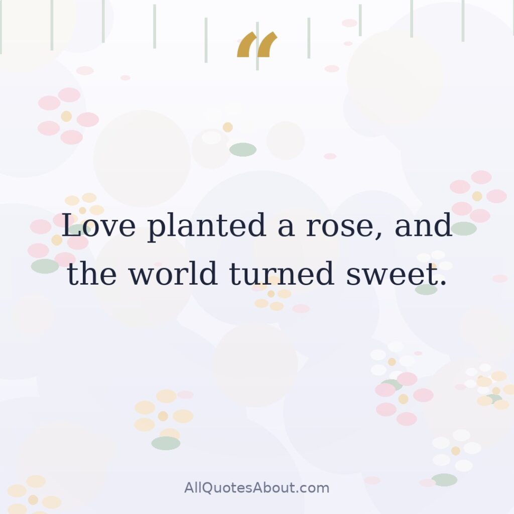 Love planted a rose, and the world turned sweet. quote card