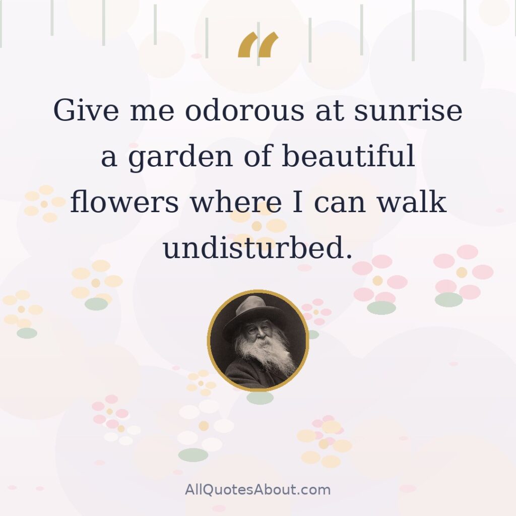 Give me odorous at sunrise a garden of beautiful flowers where I can walk undisturbed. quote card
