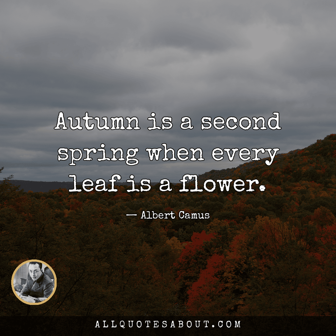 fall sayings