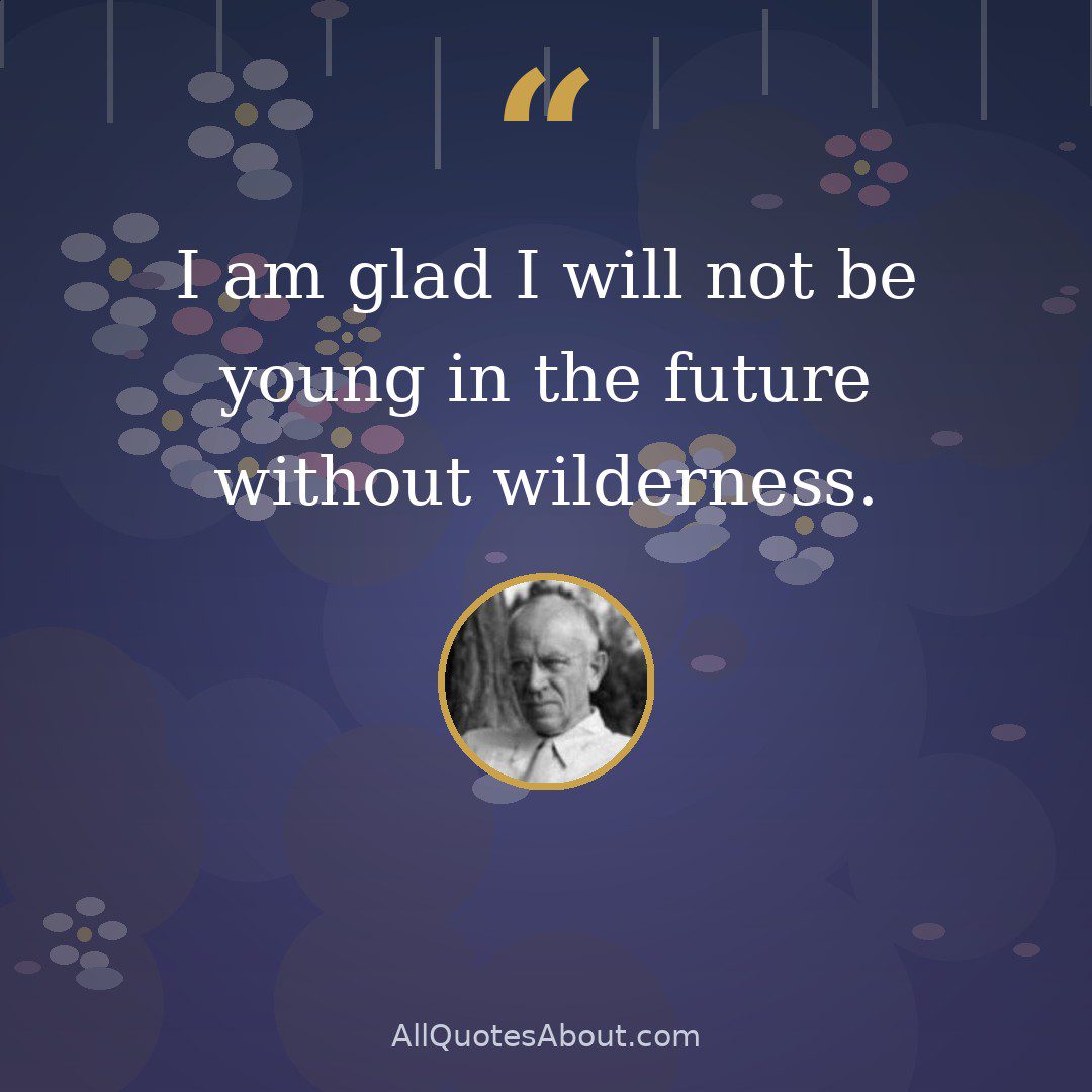 I am glad I will not be young in the future without wilderness. quote card