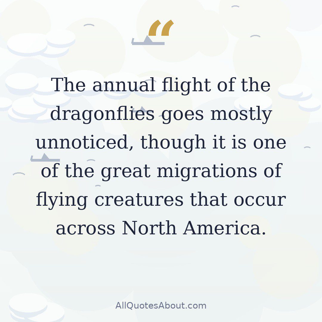 The annual flight of the dragonflies goes mostly unnoticed, though it is one of the great migrations of flying creatures that occur across North America. quote card