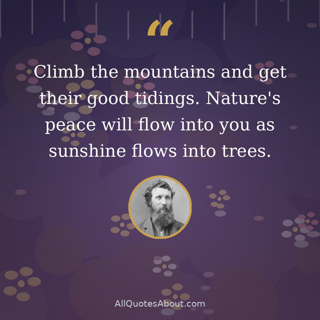 Climb the mountains and get their good tidings. Nature's peace will flow into you as sunshine flows into trees. quote card