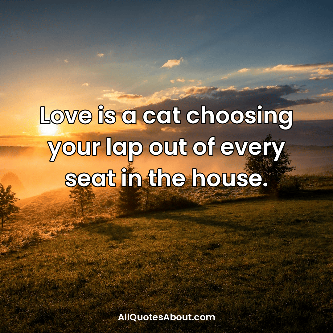 cat lover quotes