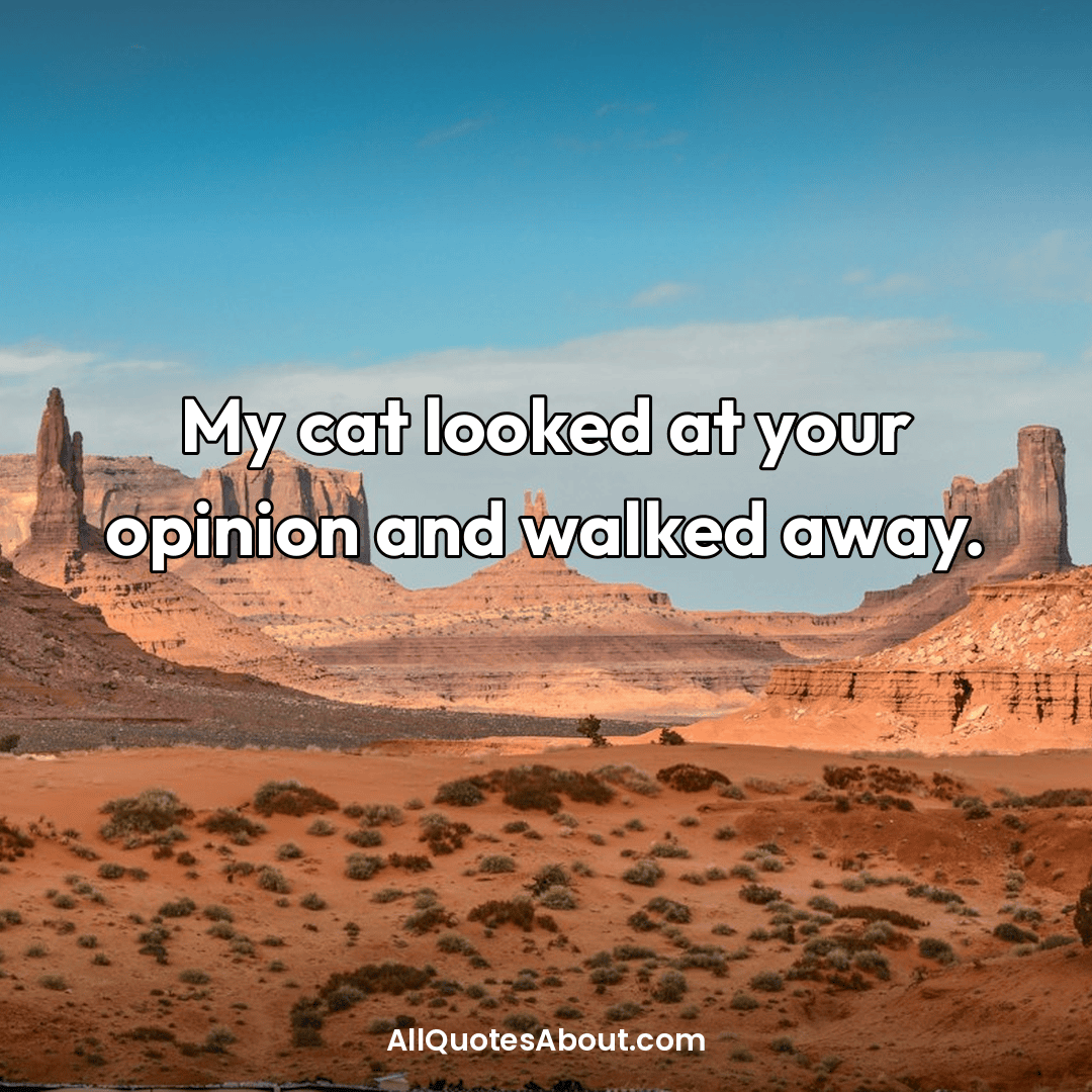 funny cat quotes