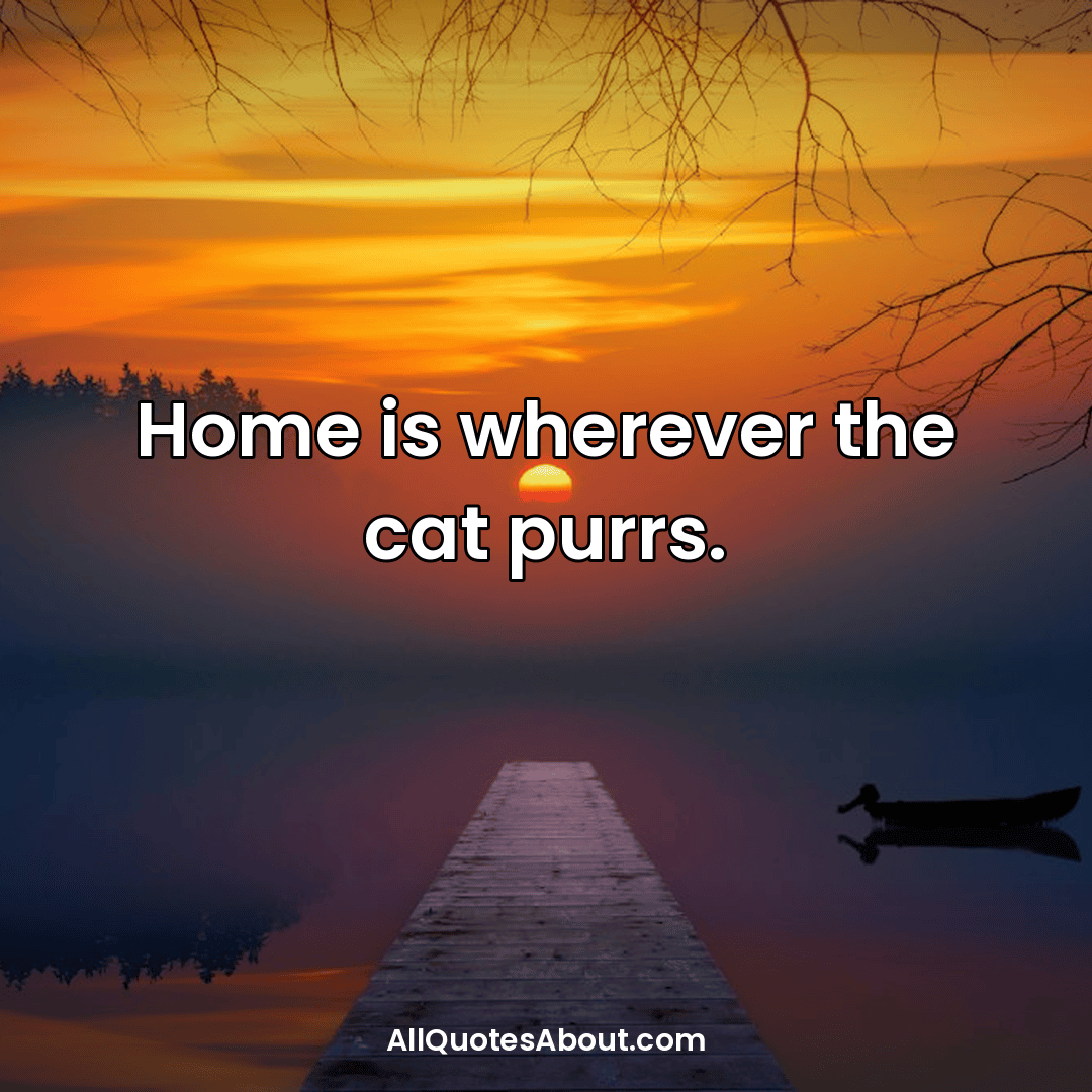 cat quotes