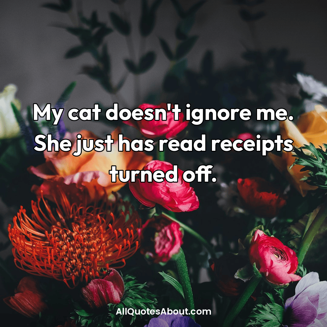 funny cat quotes