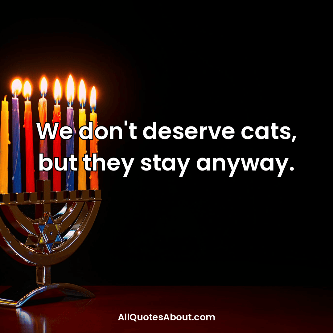 funny cat quotes