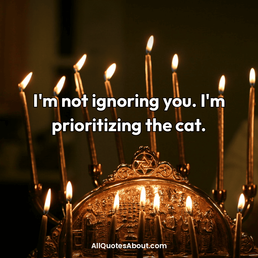 cat lover quotes