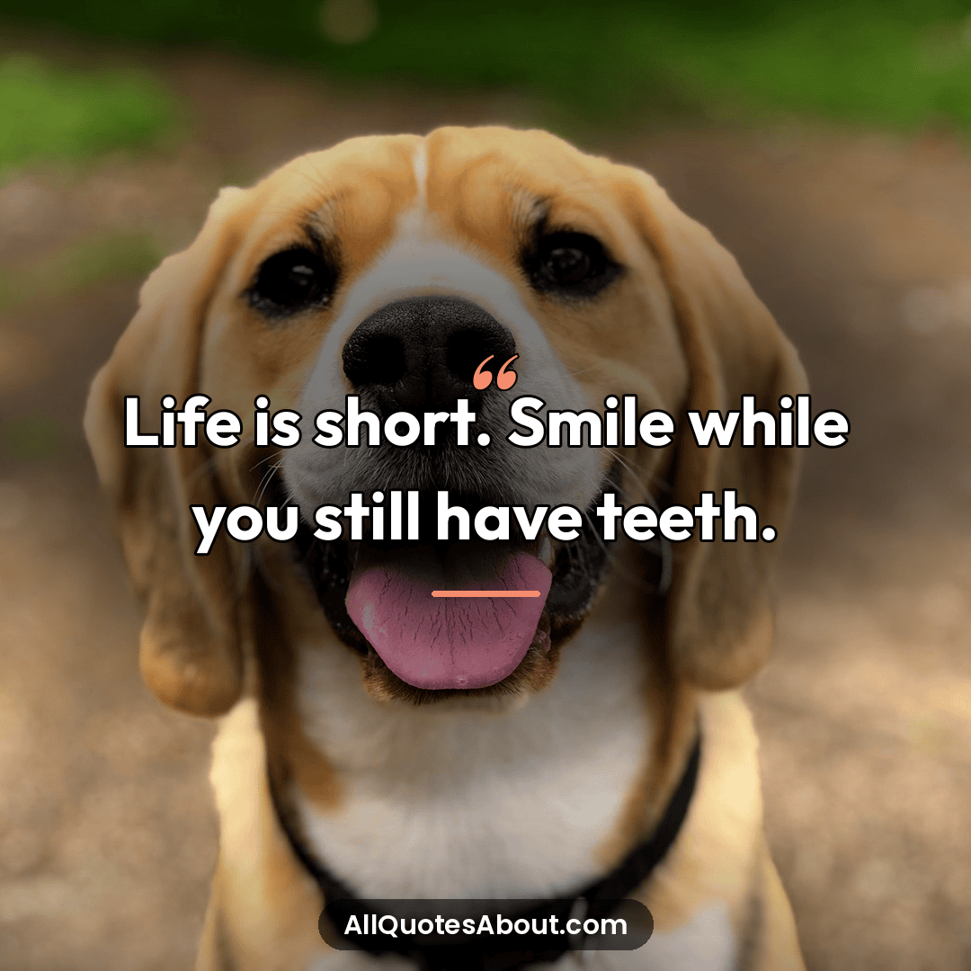comedy quotes