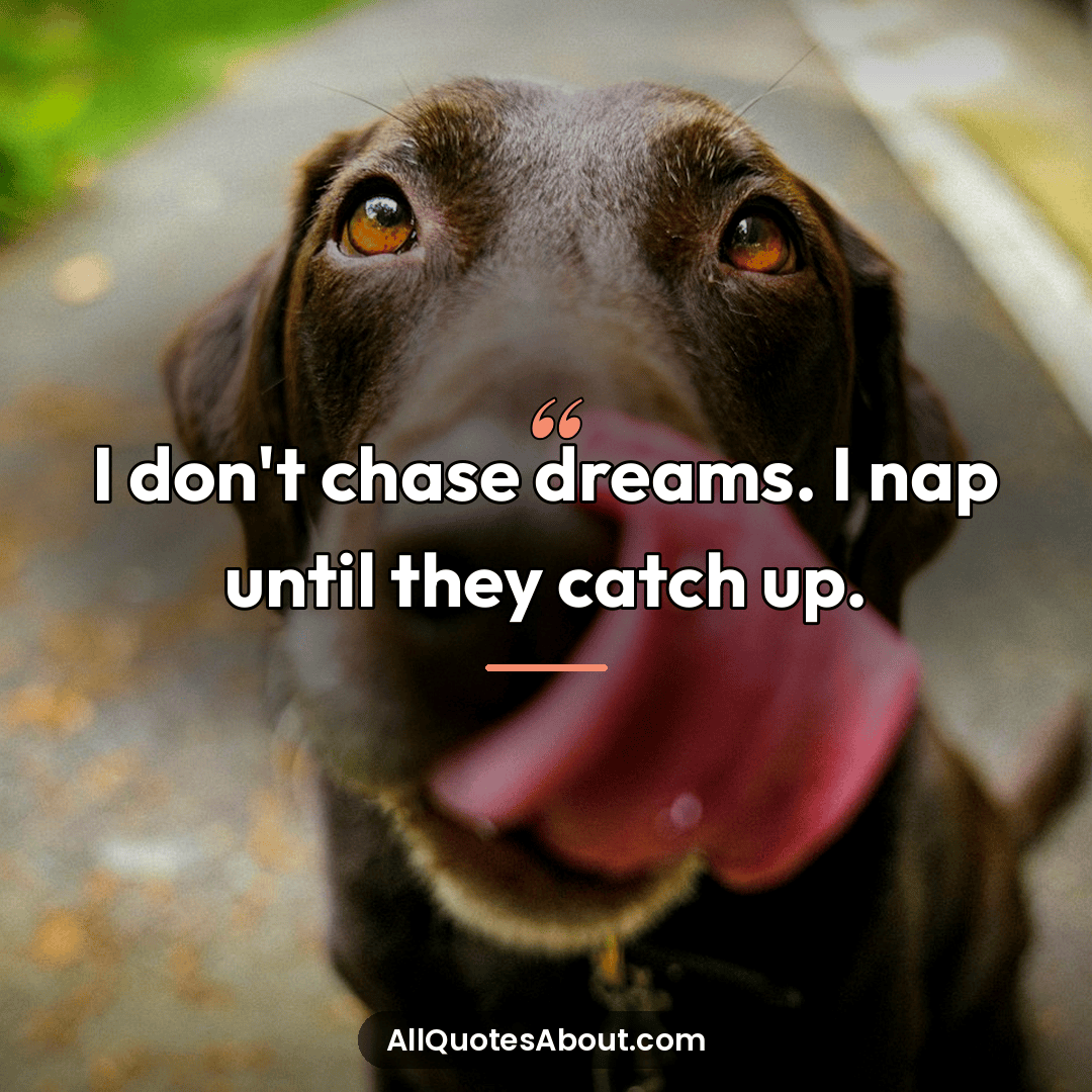 funny comedy quotes