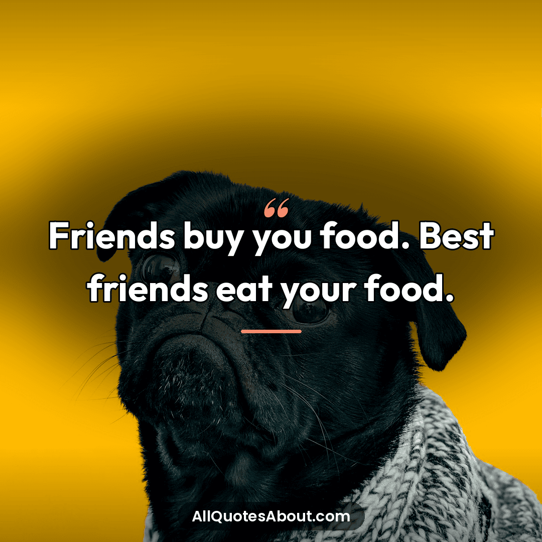 comedy quotes