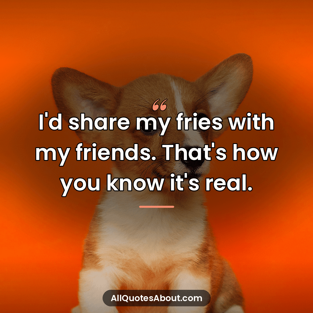funny comedy quotes
