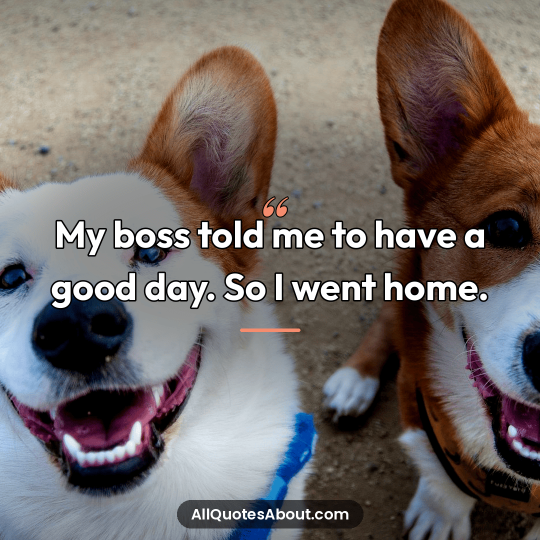 hilarious quotes