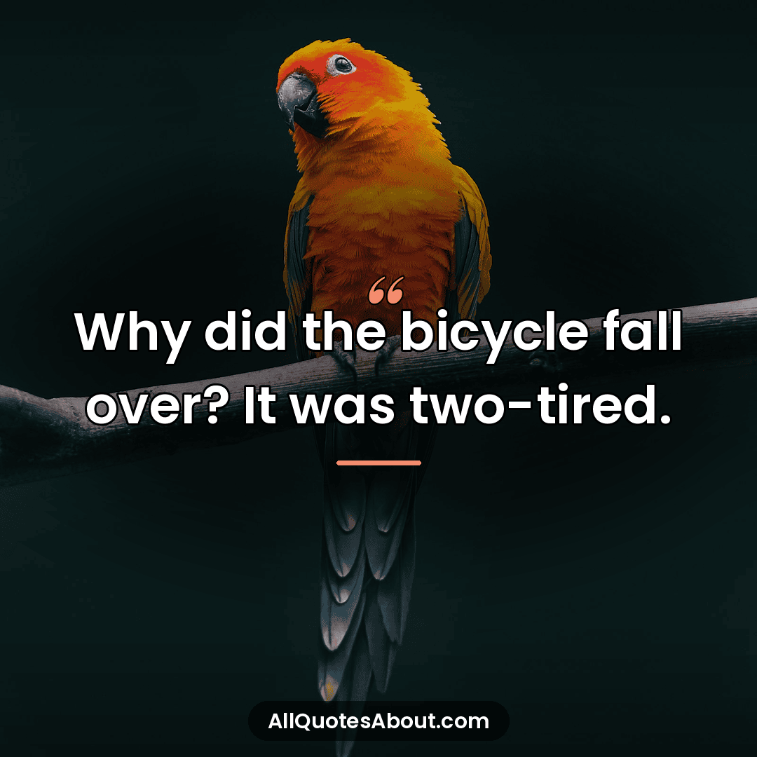 comedy sayings