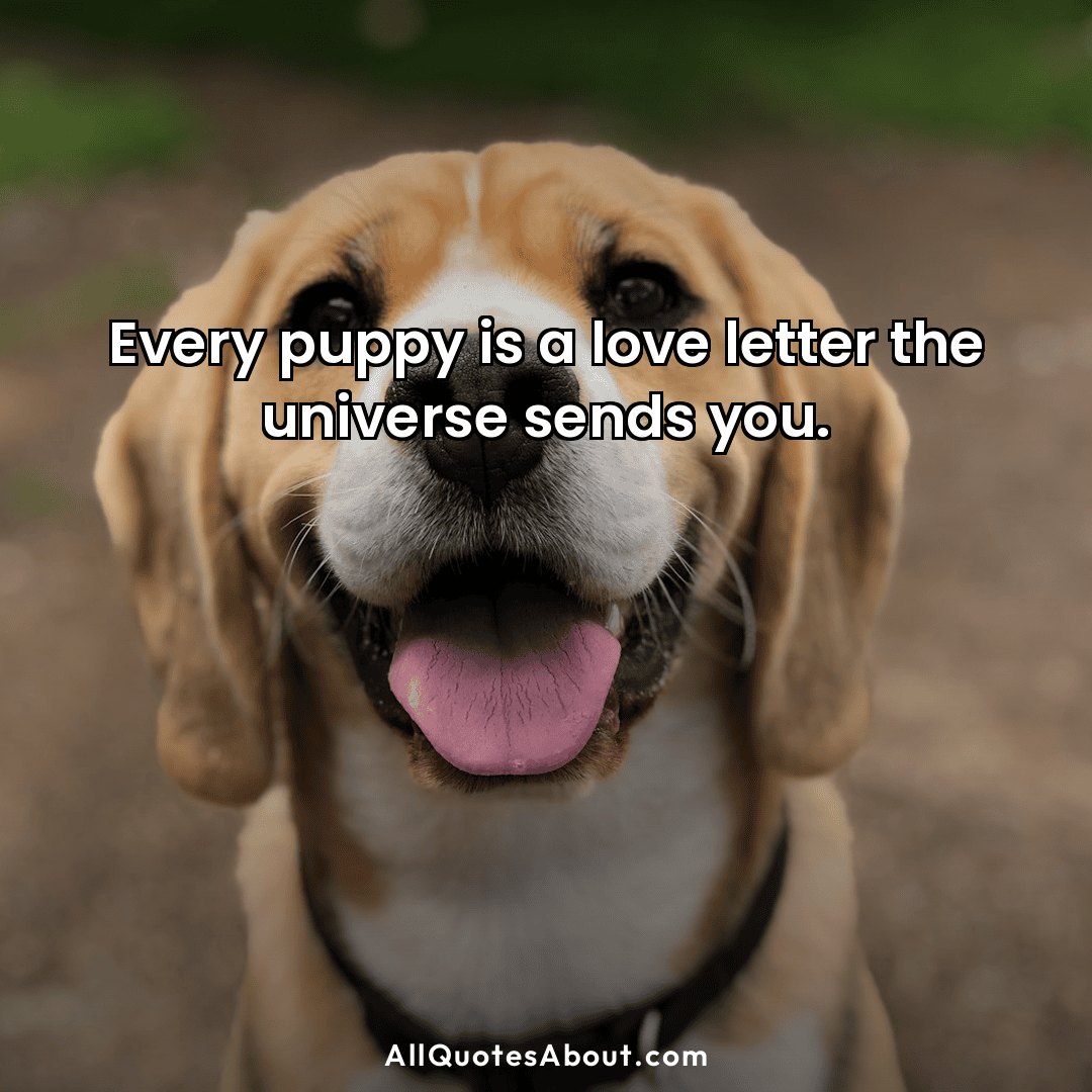 puppy quotes
