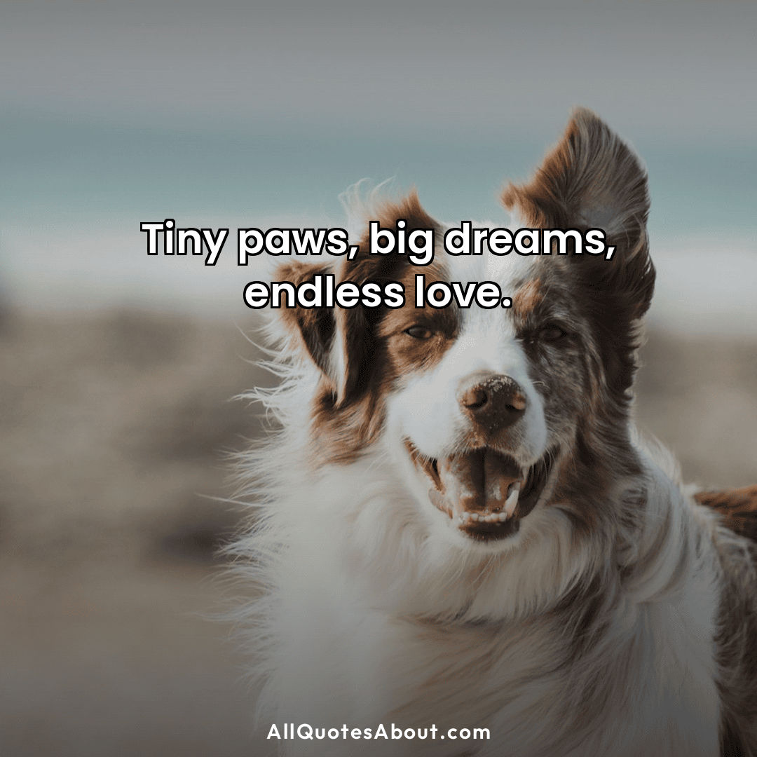 puppy love quotes