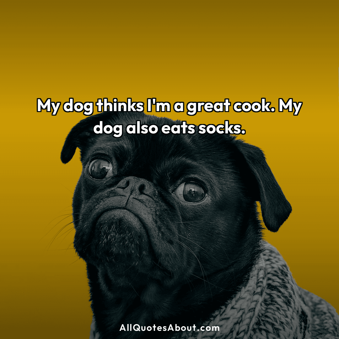 funny dog quotes