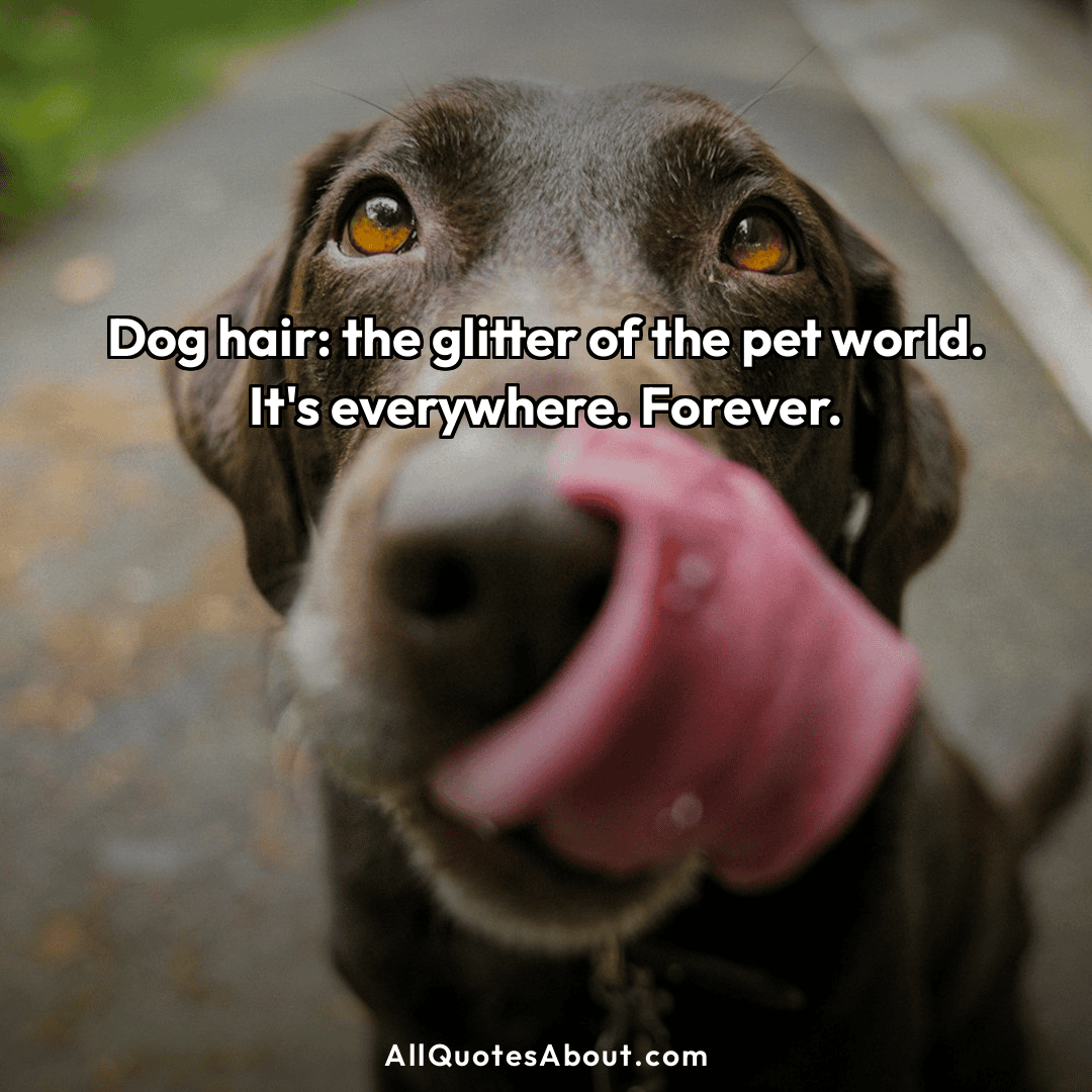 funny puppy quotes