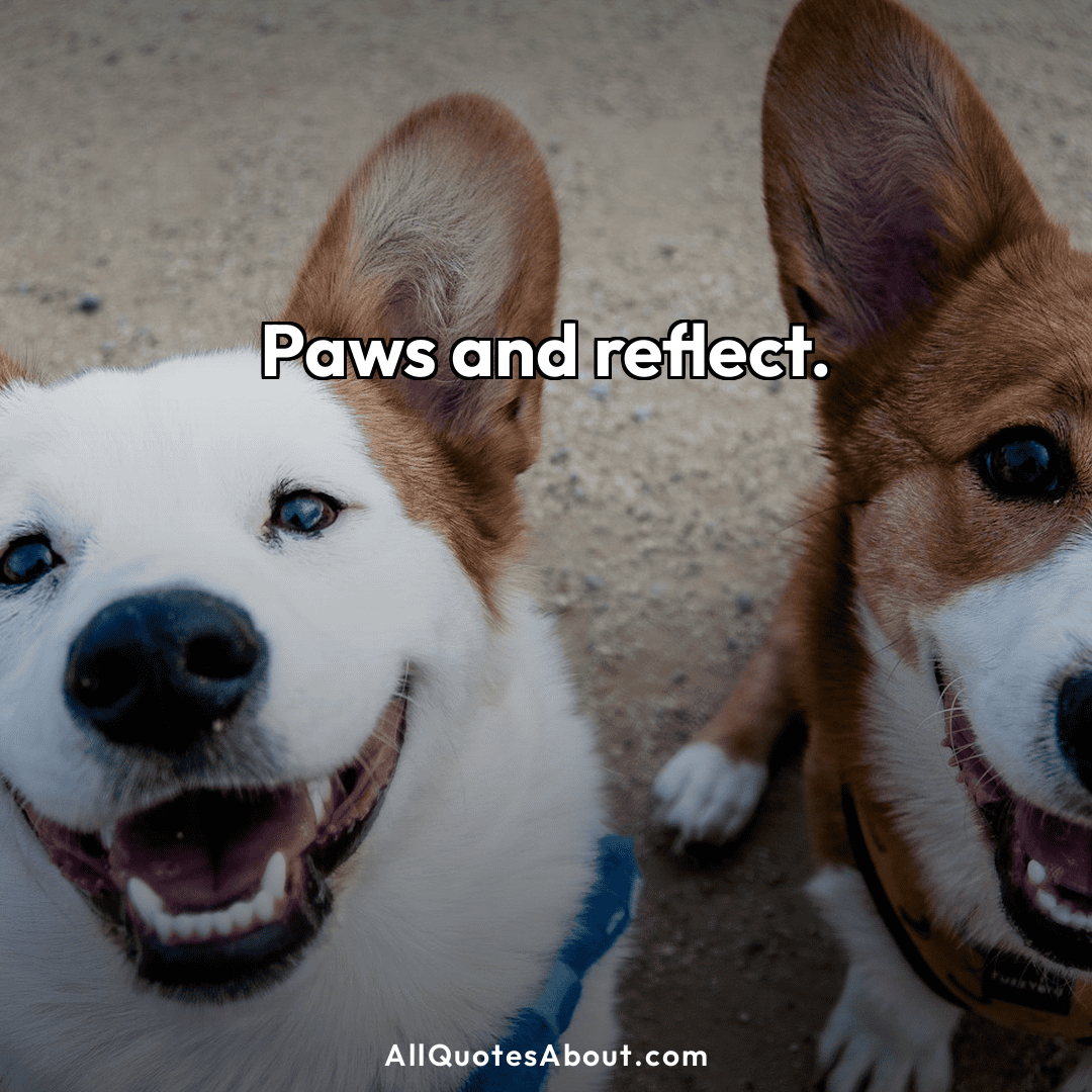 dog captions