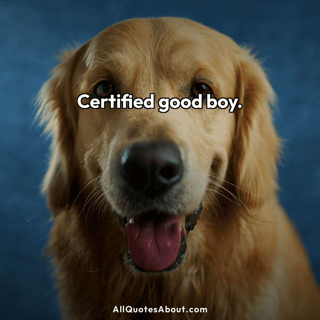 dog quotes for instagram