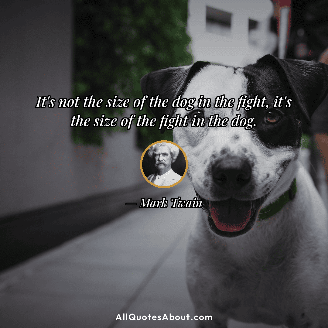 famous dog quotes