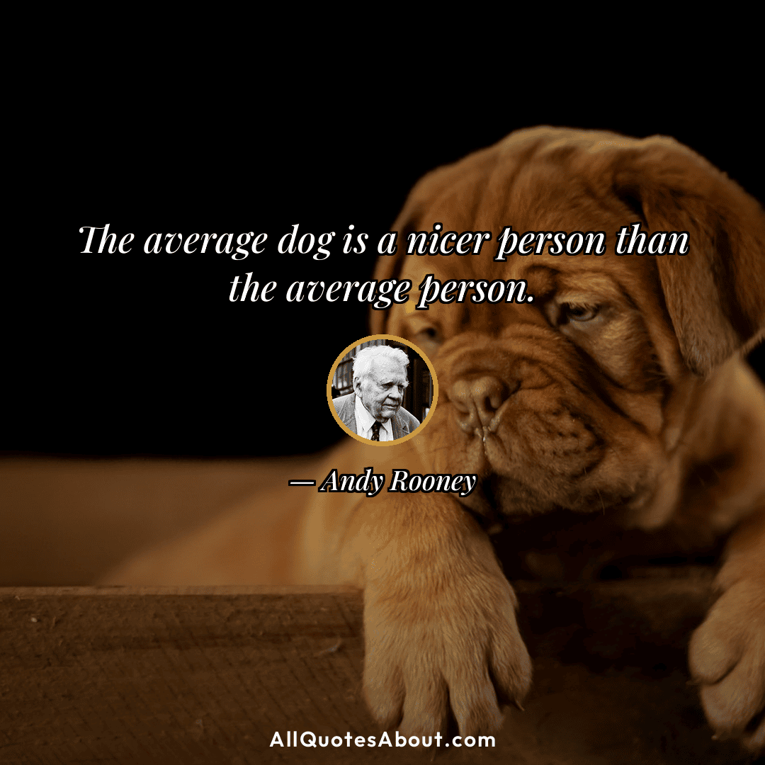 andy rooney dog quote