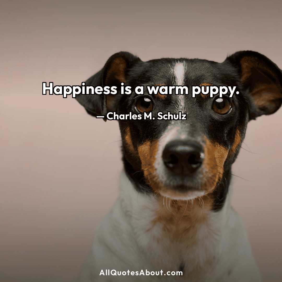 happiness is a warm puppy