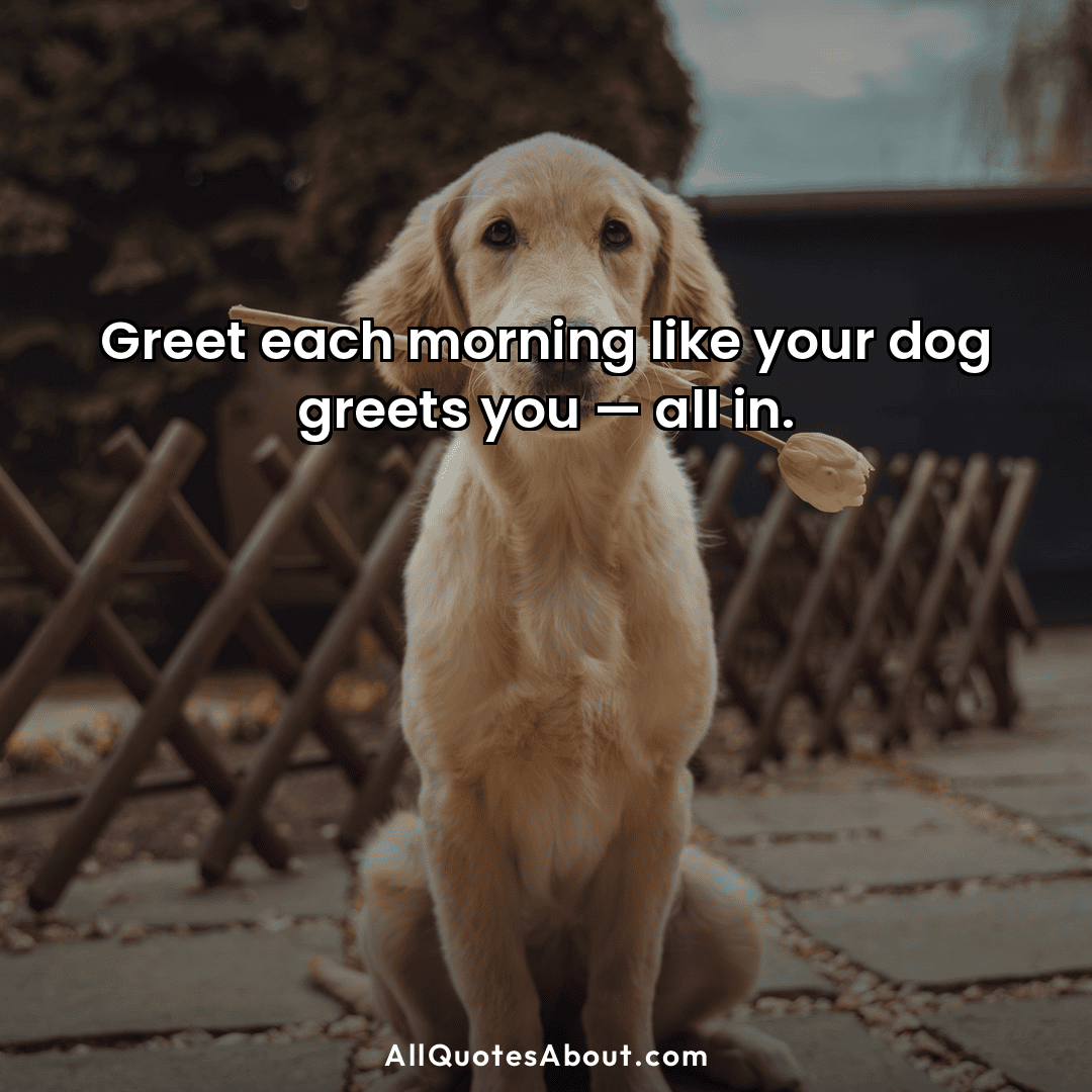 inspirational dog quotes