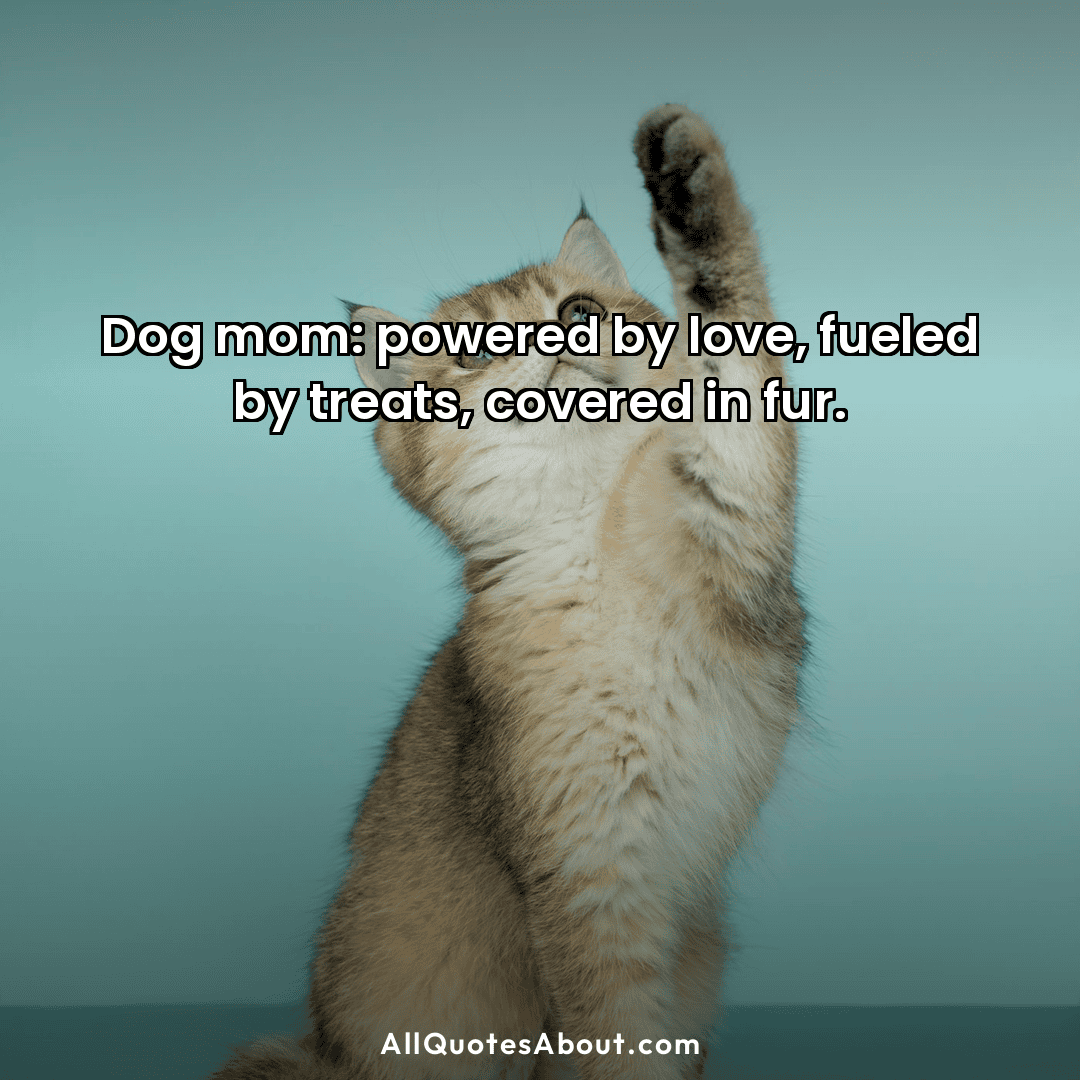 dog mom quotes