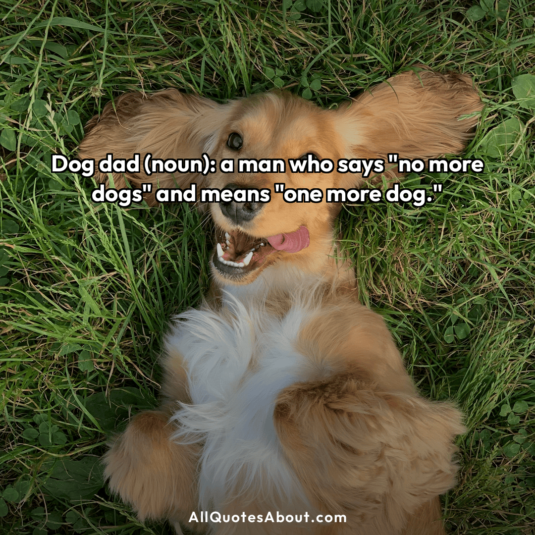 dog dad quotes