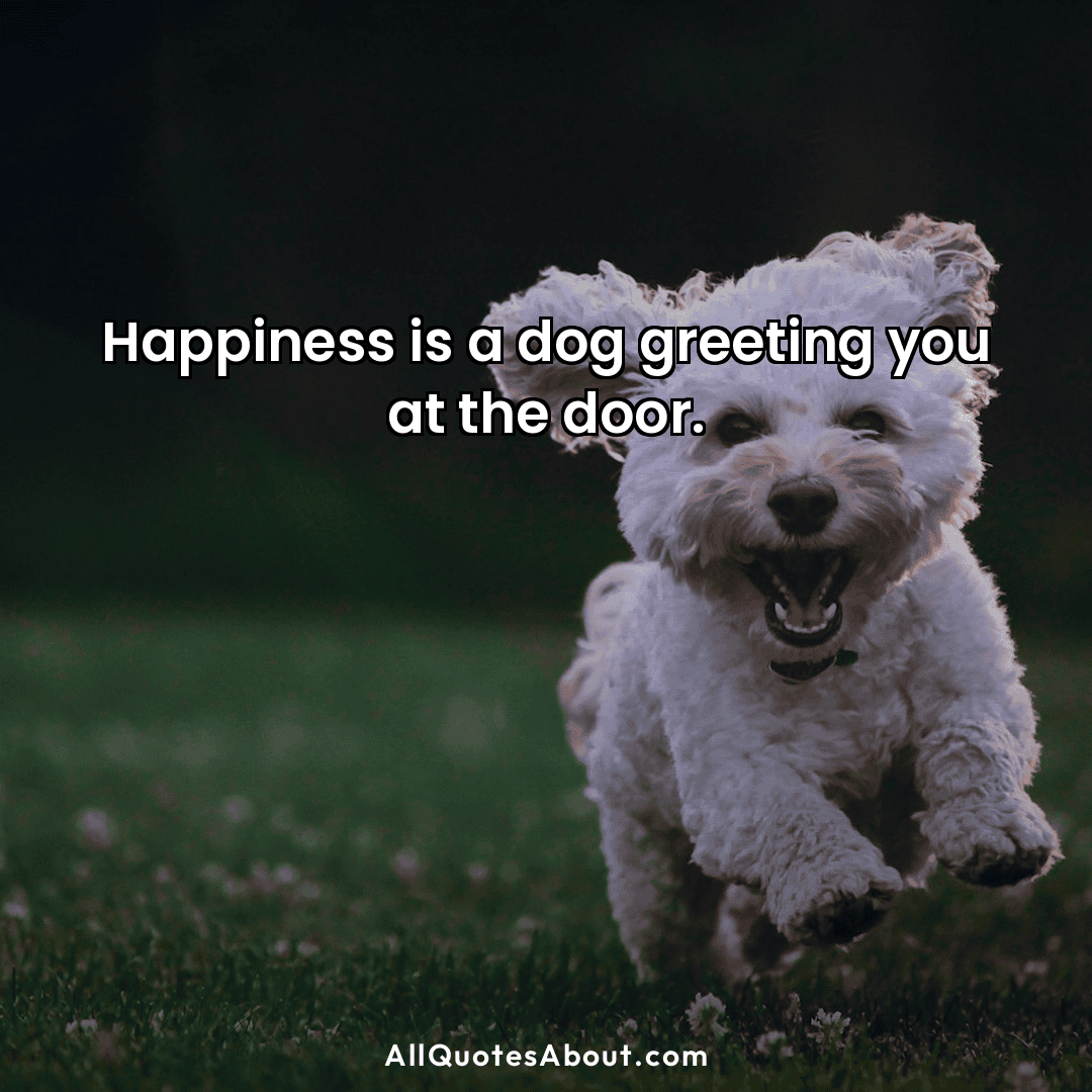 happy dog quotes