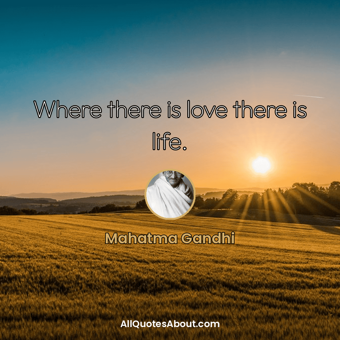 love feeling quotes