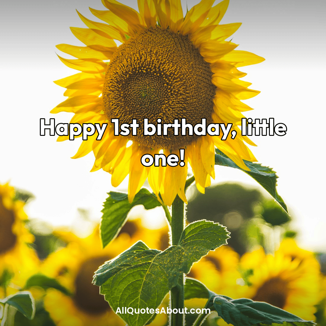 1st birthday wishes