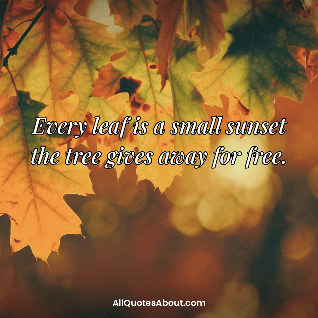 first day of fall quotes