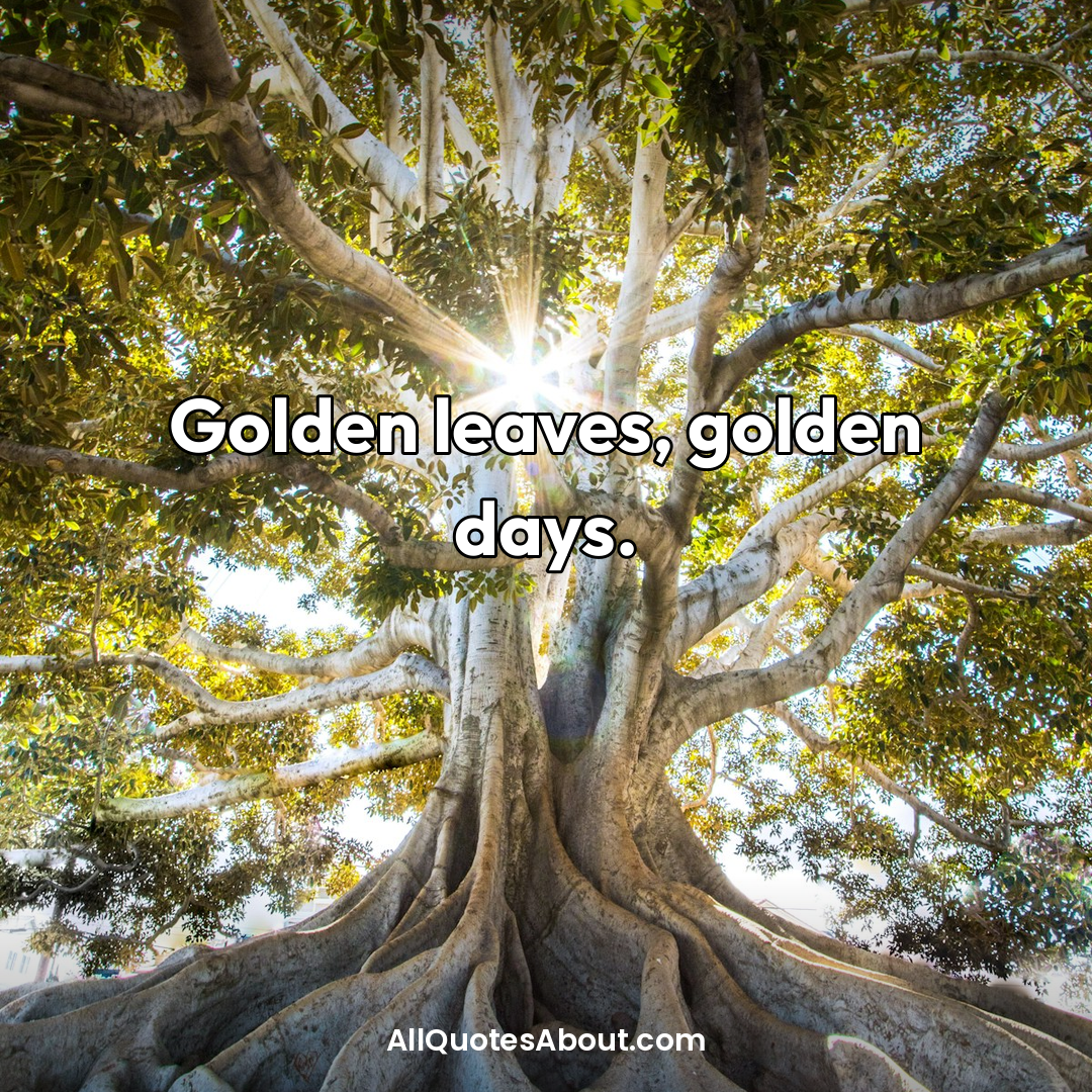 welcome fall quotes