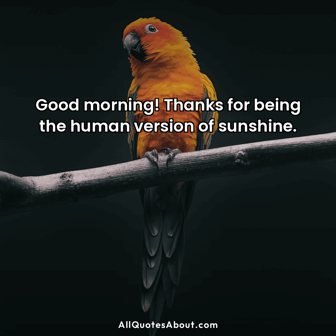 good morning quotes for friends