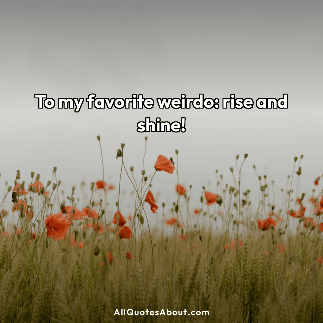 morning quotes for friends