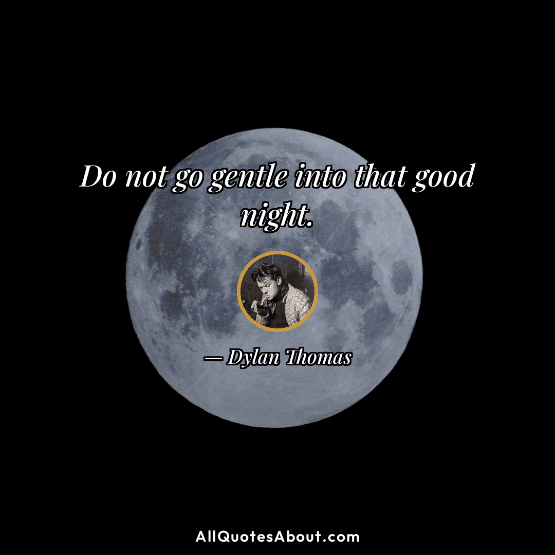 good night poetry quotes