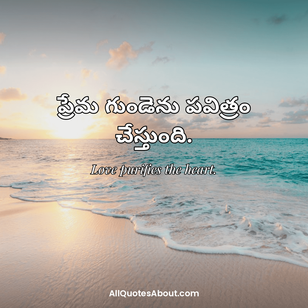 life quotes in telugu