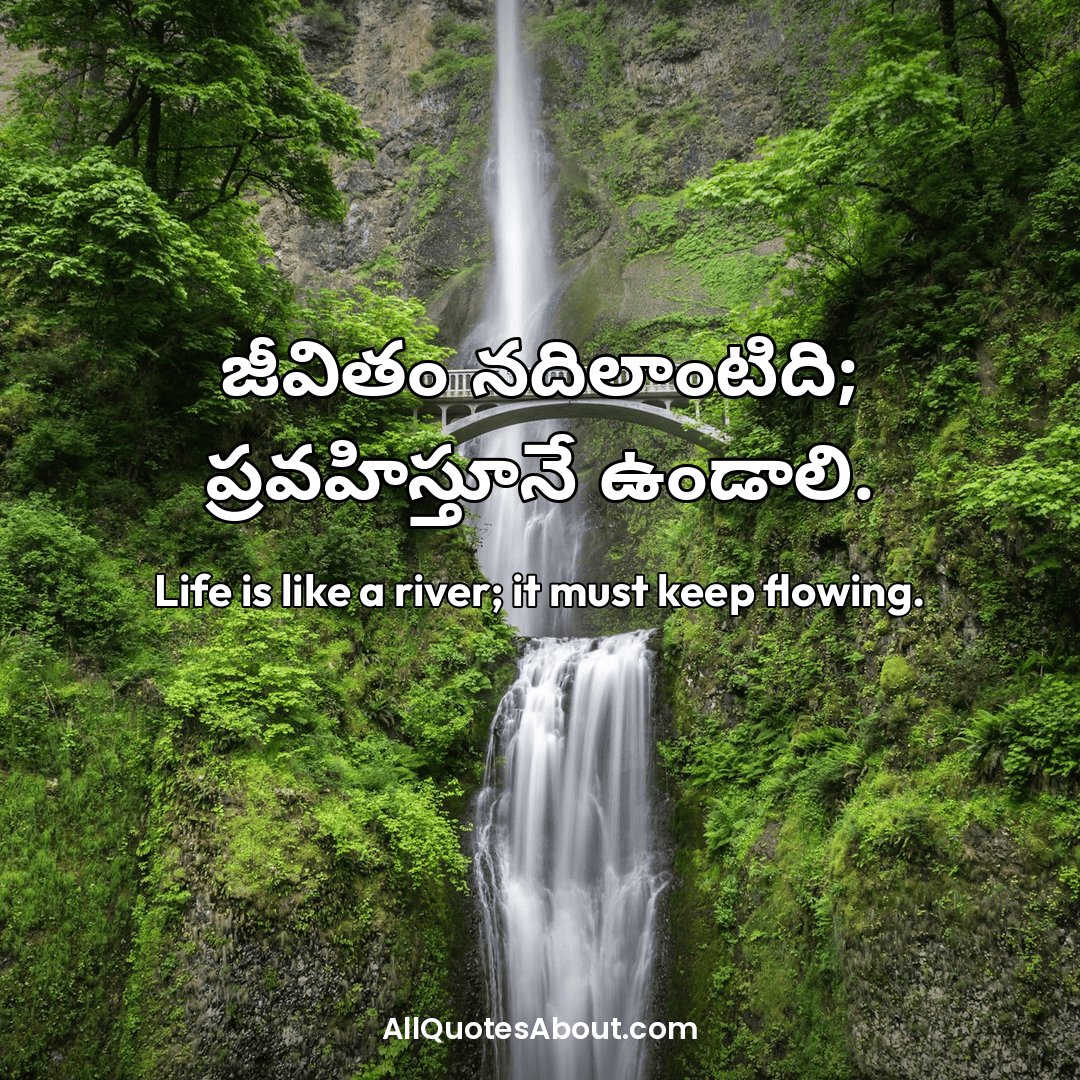 telugu life quotes