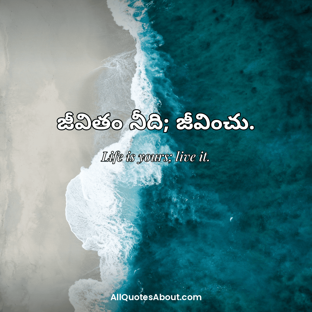 telugu life quotes