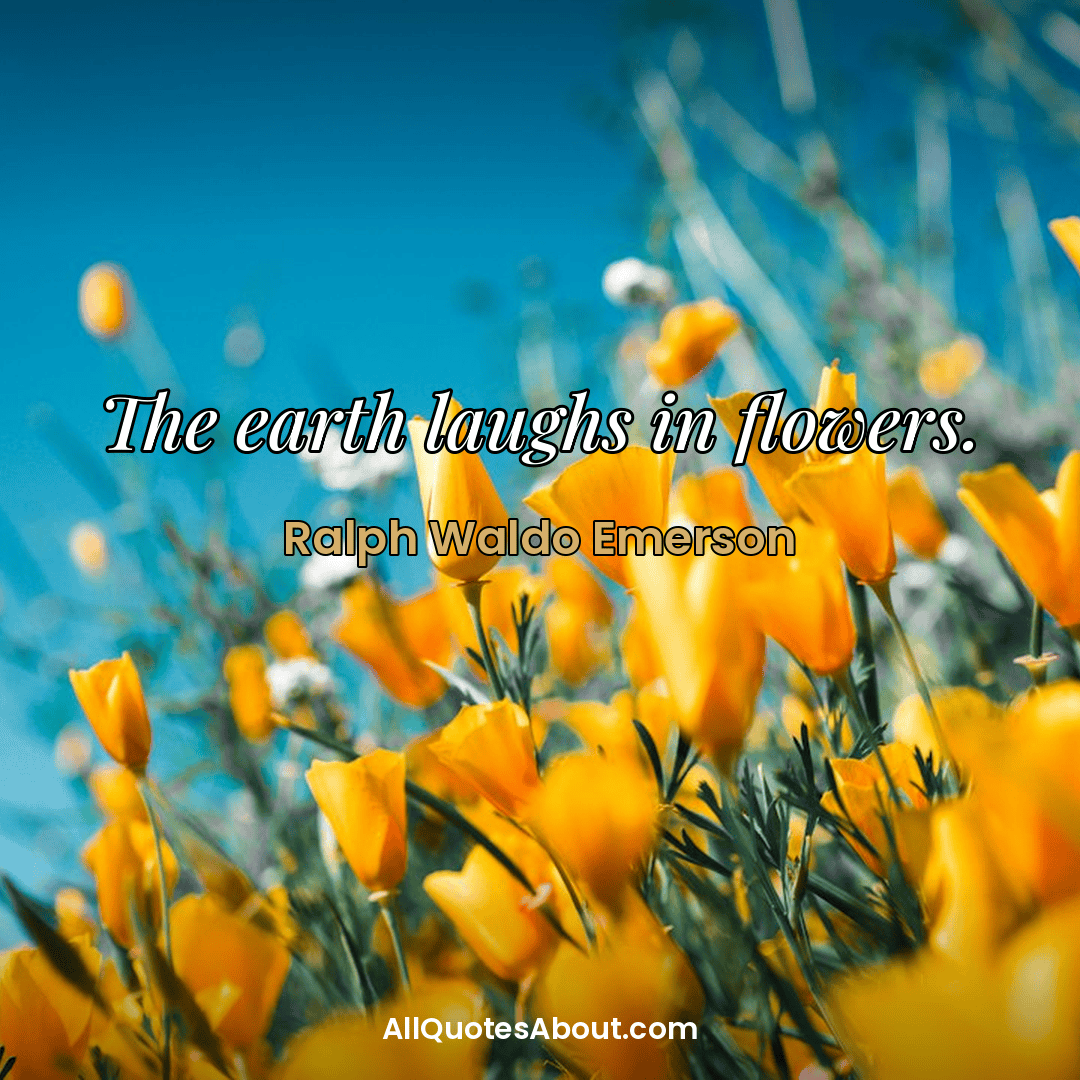 love flower quotes