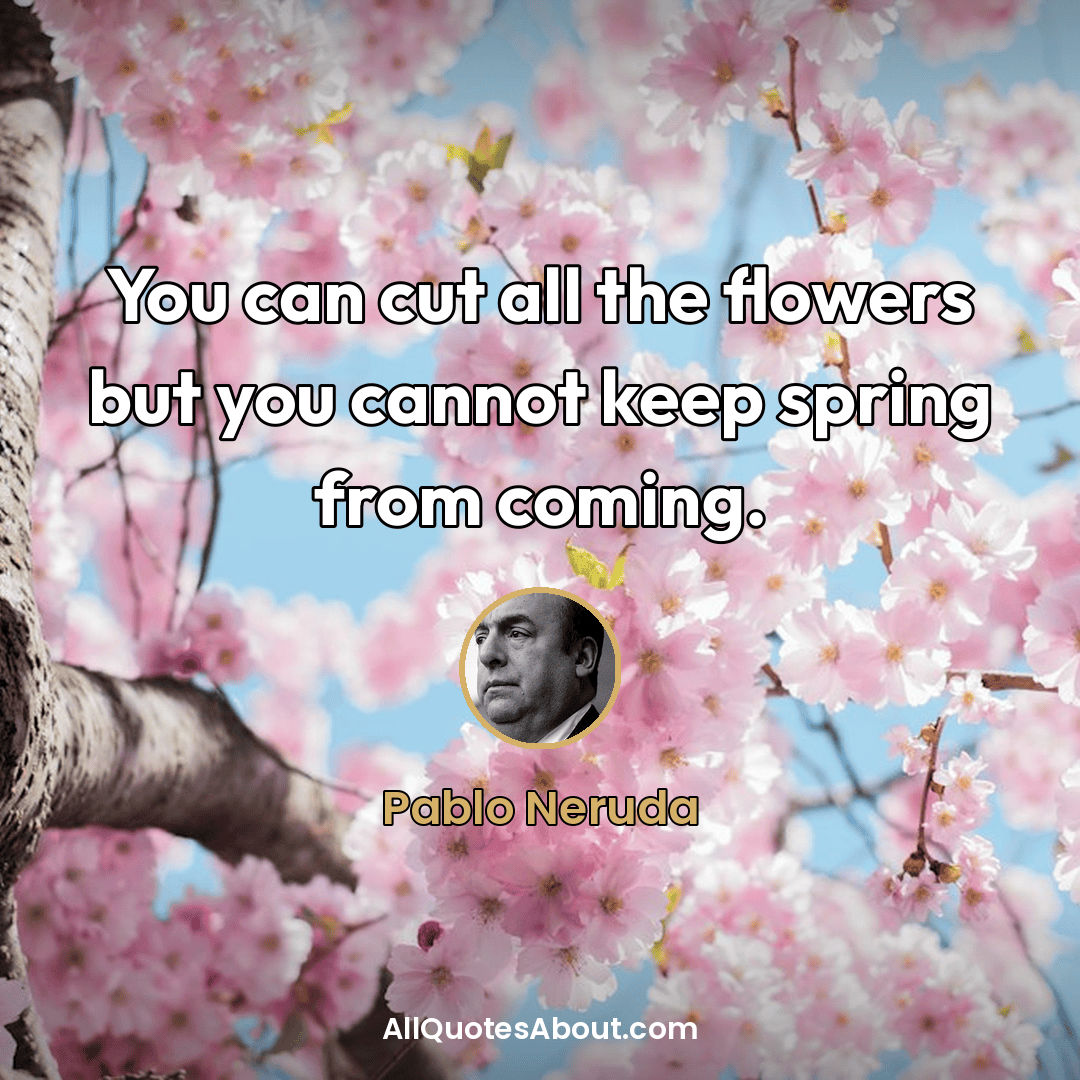 romantic flower quotes