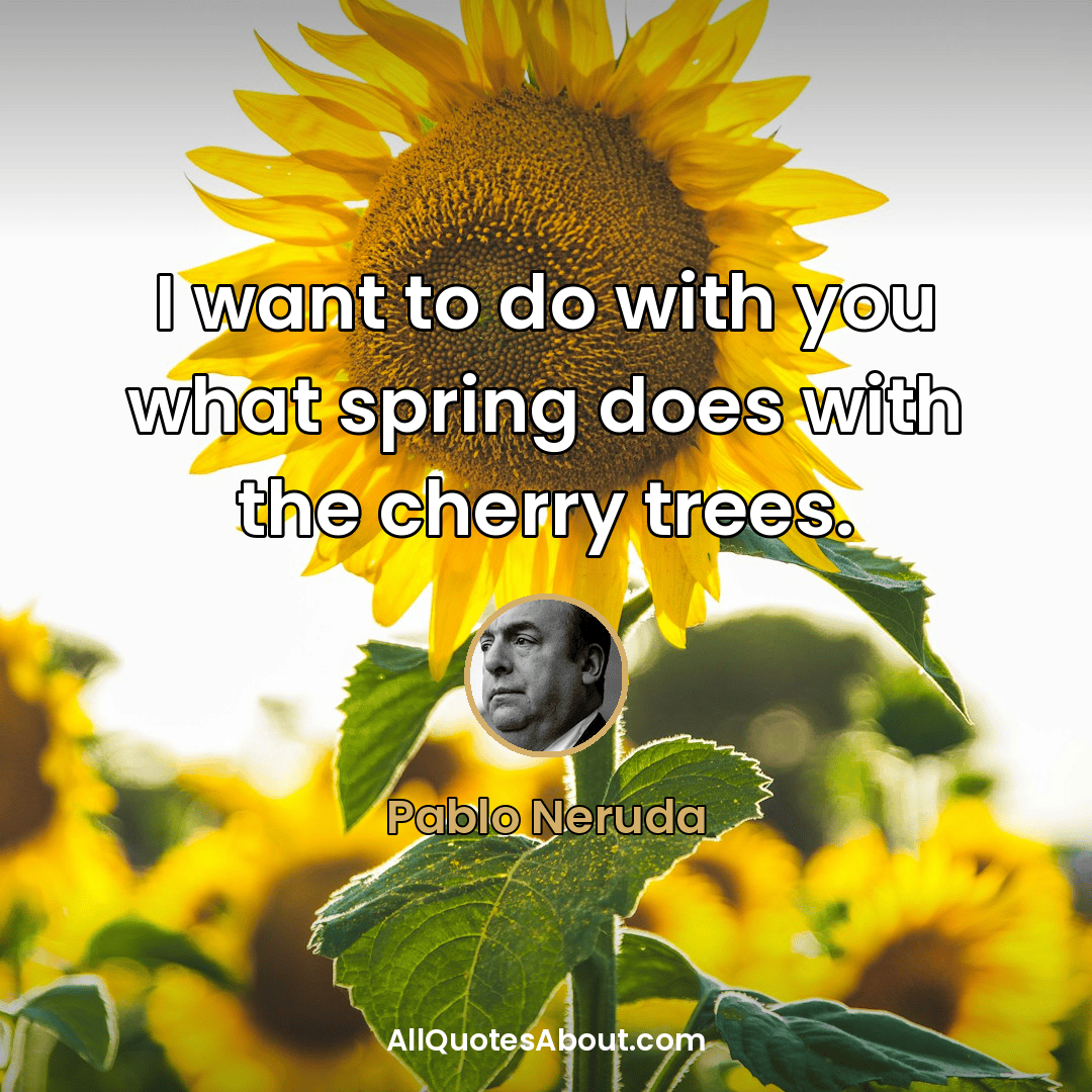 love and flowers quotes