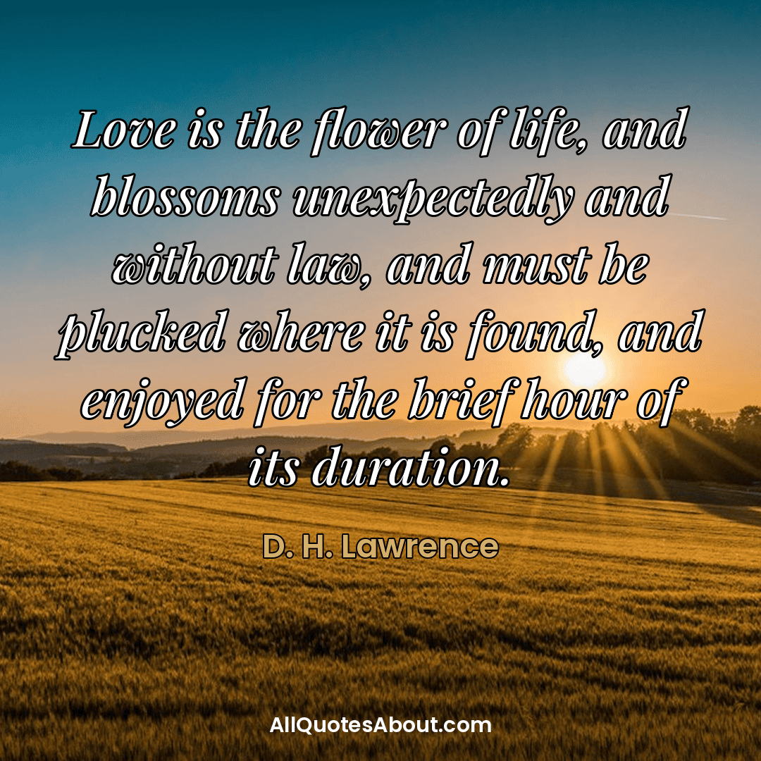 romantic flower quotes