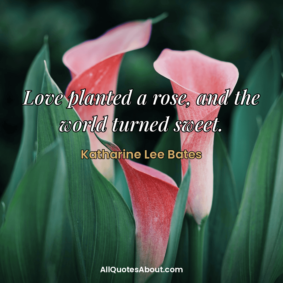 love flower quotes