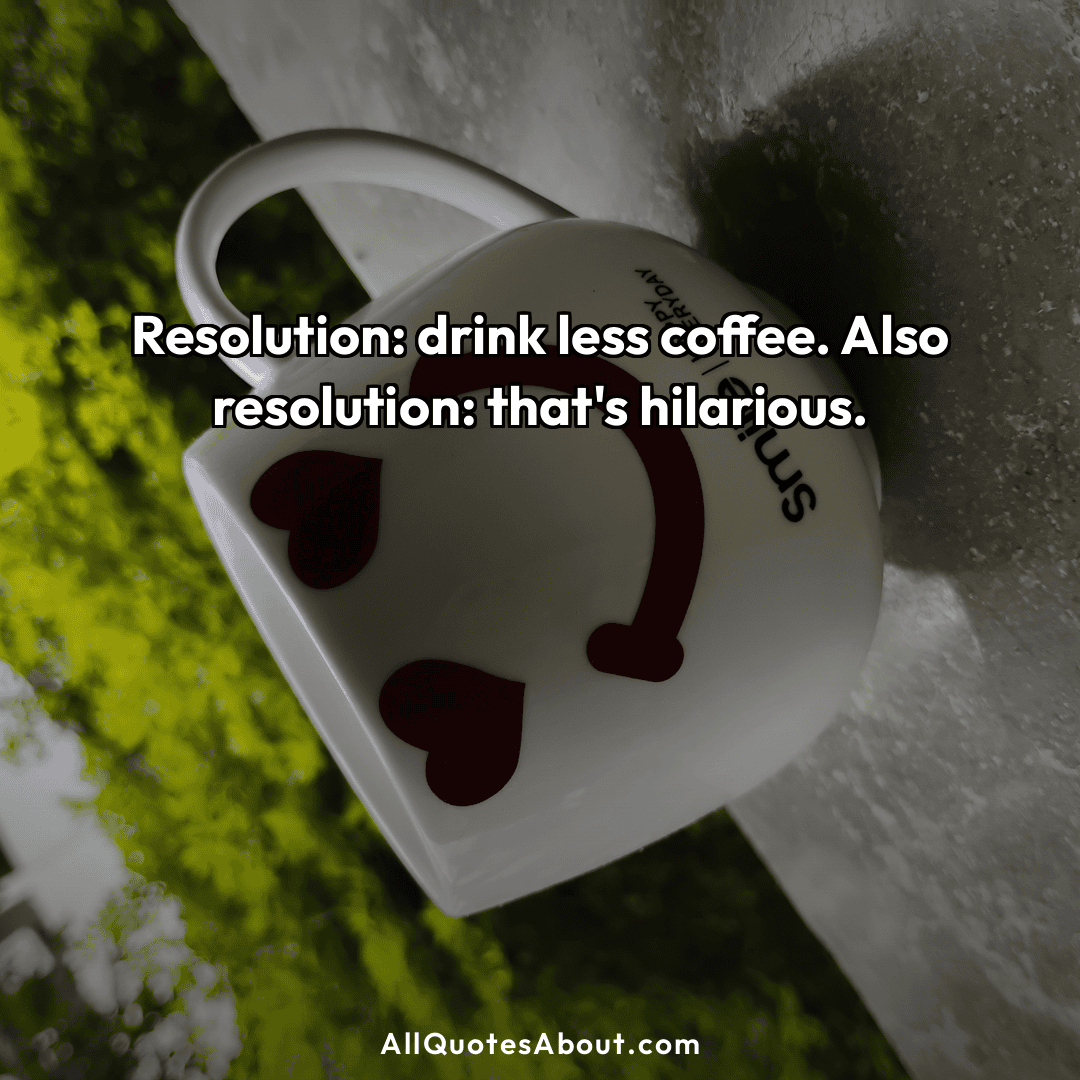 funny resolution quotes