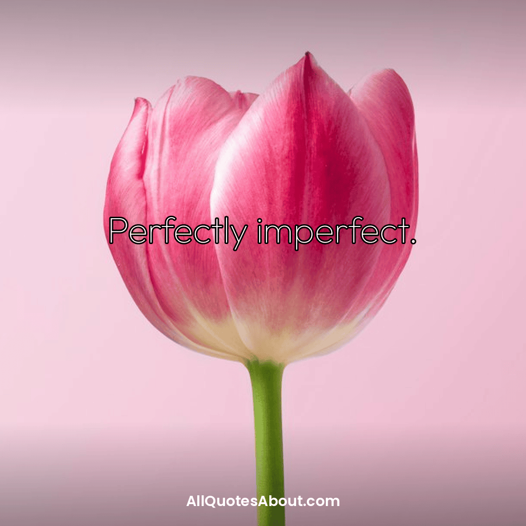 nobody is perfect quotes
