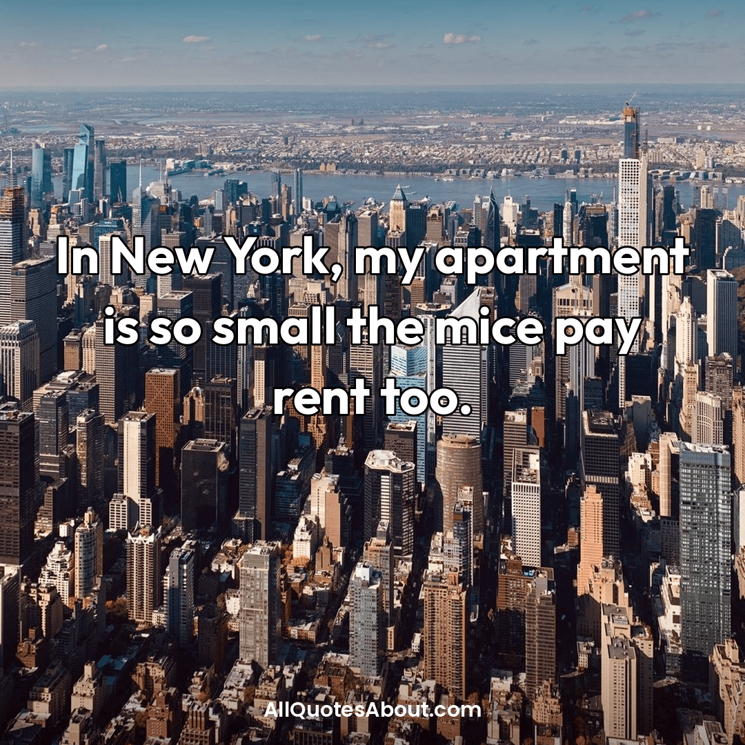 new york captions